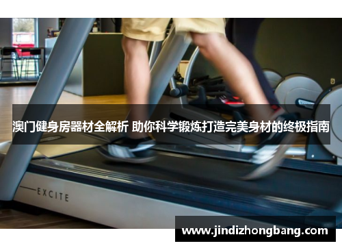 澳门健身房器材全解析 助你科学锻炼打造完美身材的终极指南