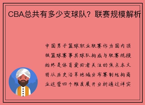 CBA总共有多少支球队？联赛规模解析